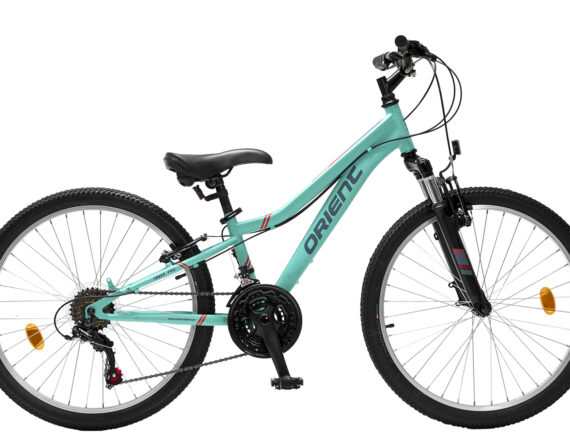 Orient SNAKE PRO 24″ 21sp.